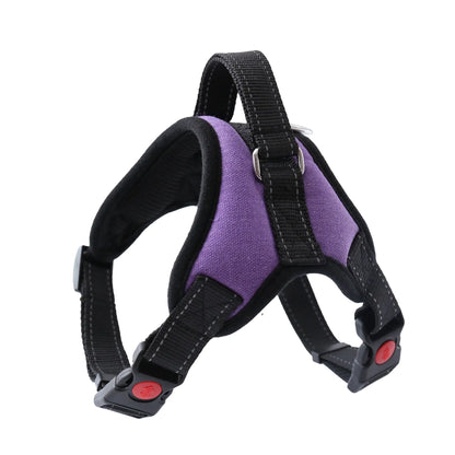 AmoorPet Walking Harness: Dog Harness Large and Medium Dog Leash