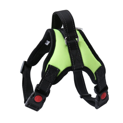 AmoorPet Walking Harness: Dog Harness Large and Medium Dog Leash