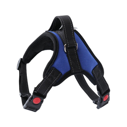 AmoorPet Walking Harness: Dog Harness Large and Medium Dog Leash