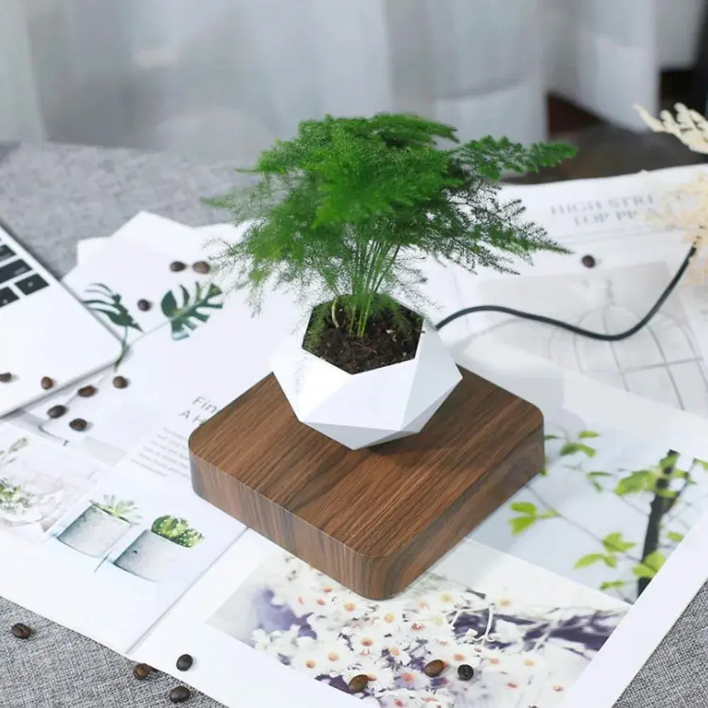 AmoorCity Levitating Air Bonsai Pot with Rotation. Modern plant stand with magnetic levitation technology that makes the bonsai or air plant rotate in mid-air. Creates a mesmerizing and unique display for home or office.