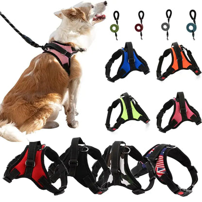 Comfortable dog walking harness and leash set by AmoorPet. Perfect for large and medium dogs. Adjustable harness for a secure fit.