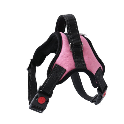 AmoorPet Walking Harness: Dog Harness Large and Medium Dog Leash