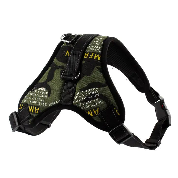 AmoorPet Walking Harness: Dog Harness Large and Medium Dog Leash