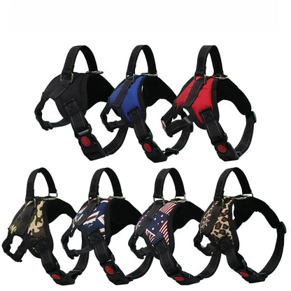 Comfortable dog walking harness and leash set by AmoorPet. Perfect for large and medium dogs. Adjustable harness for a secure fit.